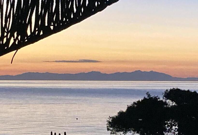 Bed and Breakfast Bellavista