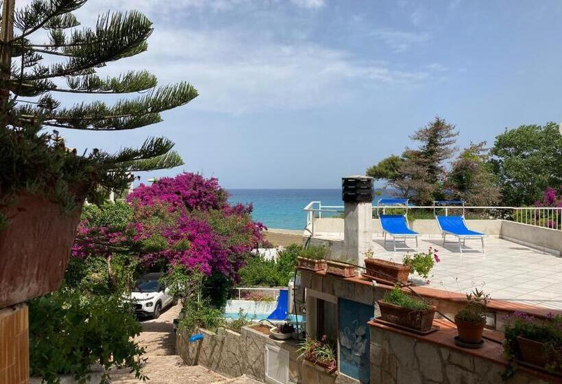 Bed and Breakfast Bellavista