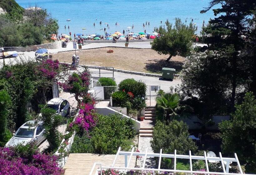 Bed and Breakfast Bellavista