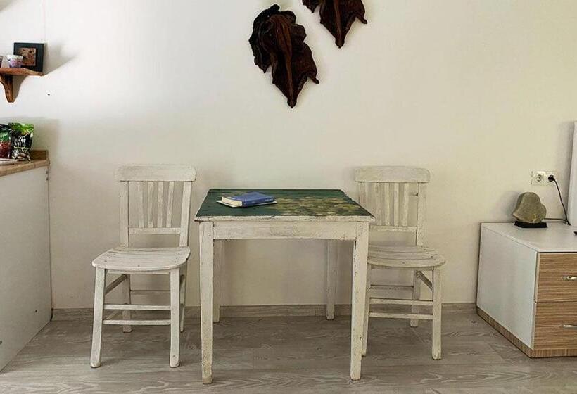 住宿加早餐  King Tombs Suit