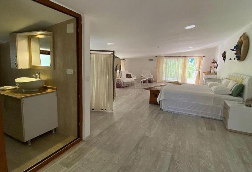 住宿加早餐  King Tombs Suit