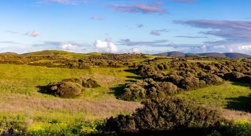 ベッドアンドブレックファースト Rena Majore Country Resort