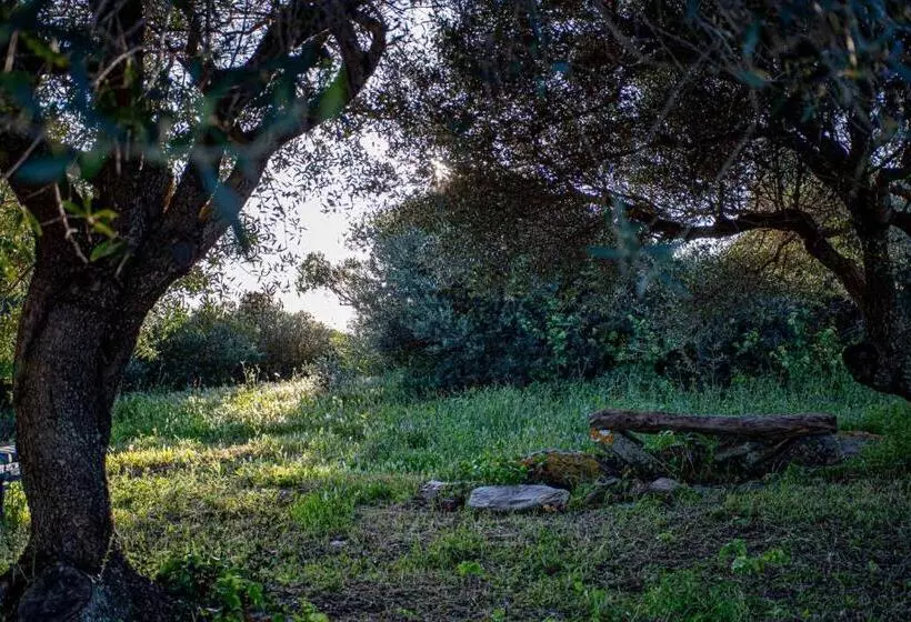 ベッドアンドブレックファースト Rena Majore Country Resort