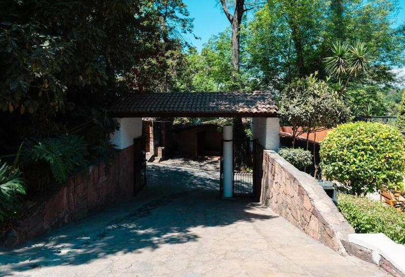 Botaniq Hotel Boutique