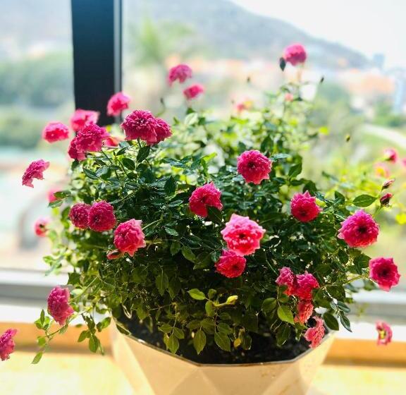 An S Home Hotel Vũng Tàu