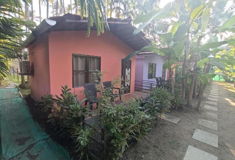 Hotel Baadal Pani Beach Resort Near Kelwa Beach