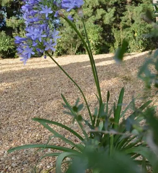 ホテル Le Domaine D Euphony