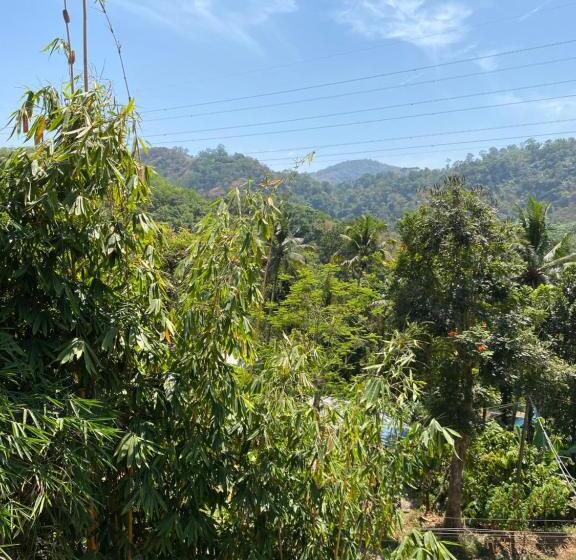 فندق Mist Mountain Resort