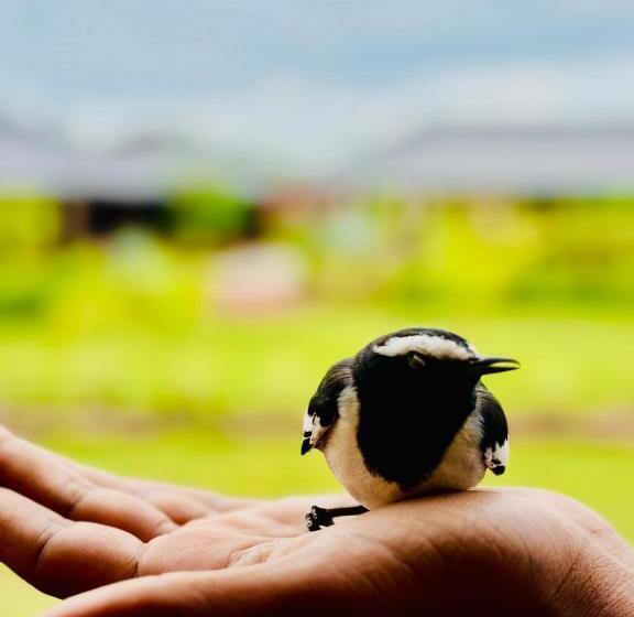 Hotel The Parijat Cottages