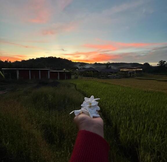 Hotel The Parijat Cottages