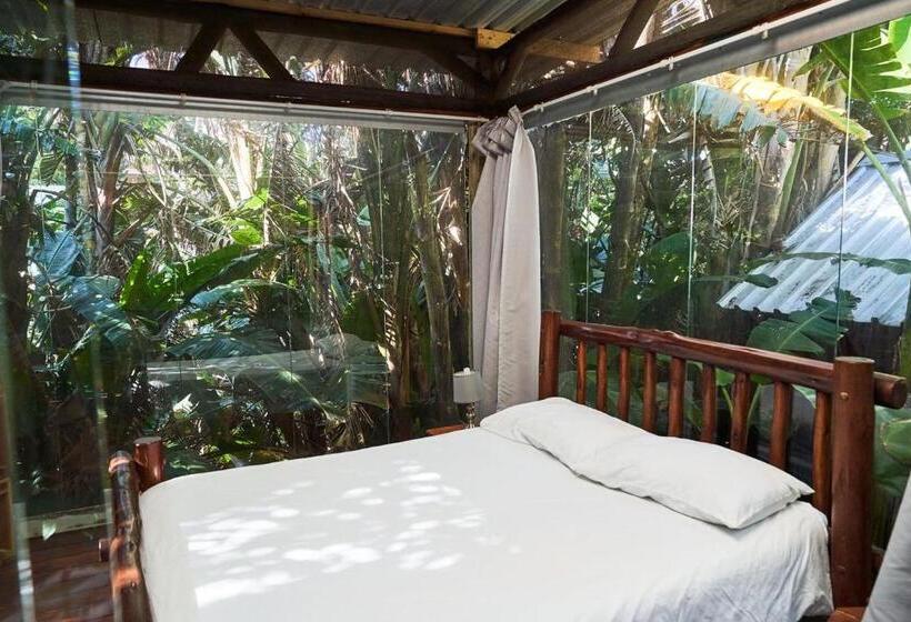 호스텔 Mantis And Moon Surf Paradise & Adventure Lodge