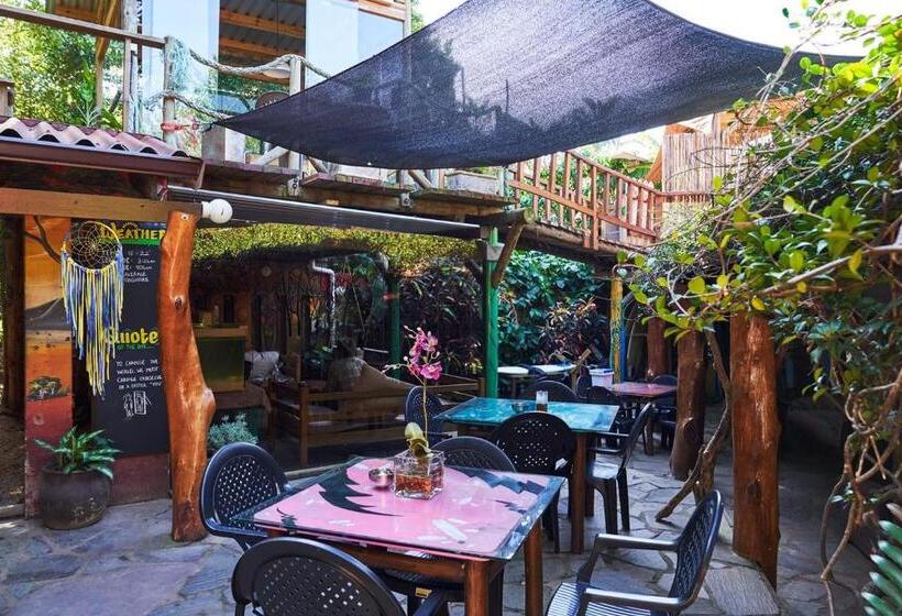 호스텔 Mantis And Moon Surf Paradise & Adventure Lodge