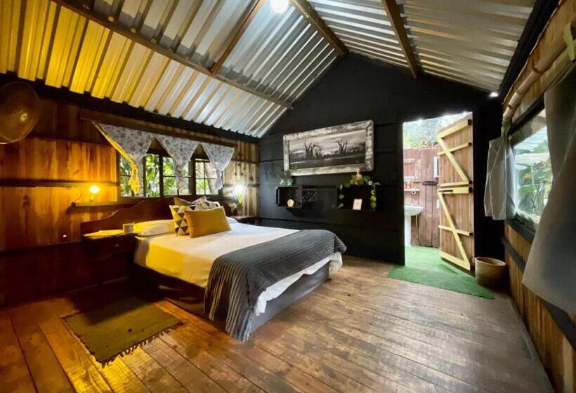 호스텔 Mantis And Moon Surf Paradise & Adventure Lodge