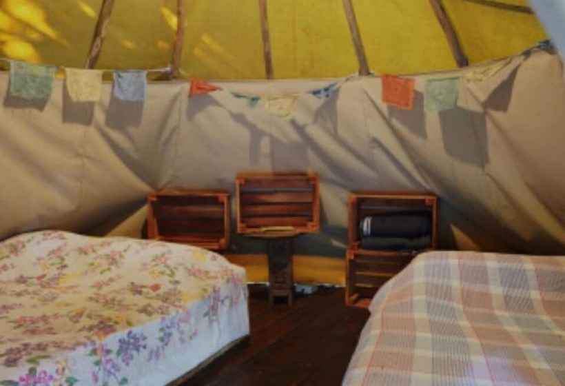 호스텔 Mantis And Moon Surf Paradise & Adventure Lodge