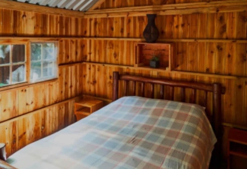 호스텔 Mantis And Moon Surf Paradise & Adventure Lodge