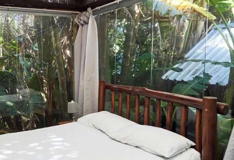 호스텔 Mantis And Moon Surf Paradise & Adventure Lodge