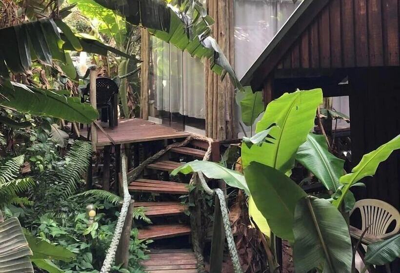 호스텔 Mantis And Moon Surf Paradise & Adventure Lodge