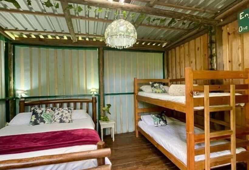 호스텔 Mantis And Moon Surf Paradise & Adventure Lodge