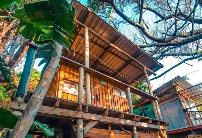 호스텔 Mantis And Moon Surf Paradise & Adventure Lodge