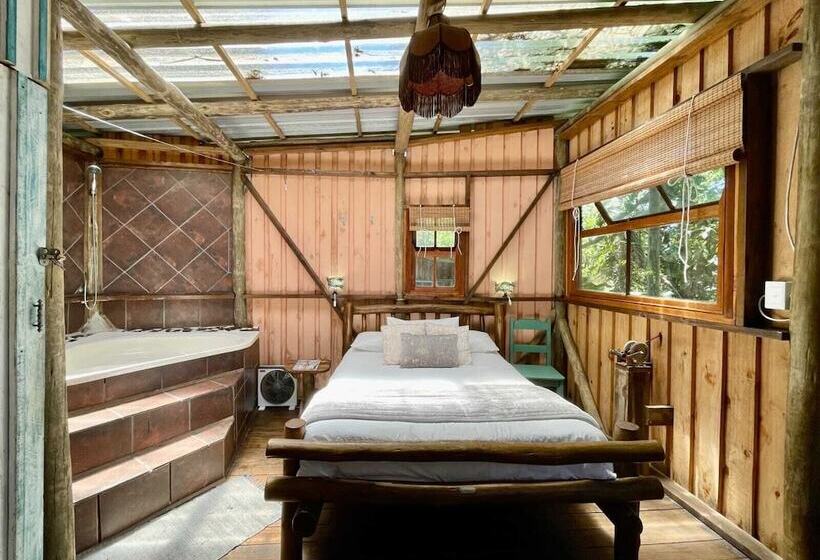 호스텔 Mantis And Moon Surf Paradise & Adventure Lodge