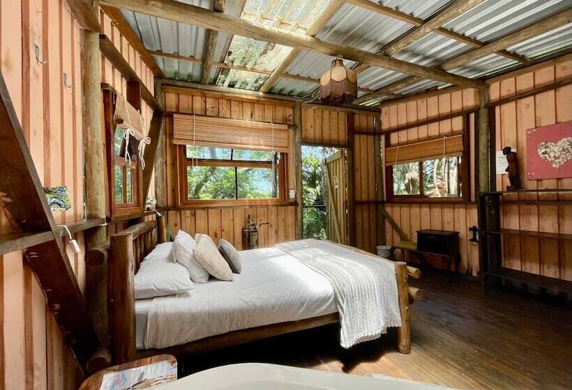 호스텔 Mantis And Moon Surf Paradise & Adventure Lodge