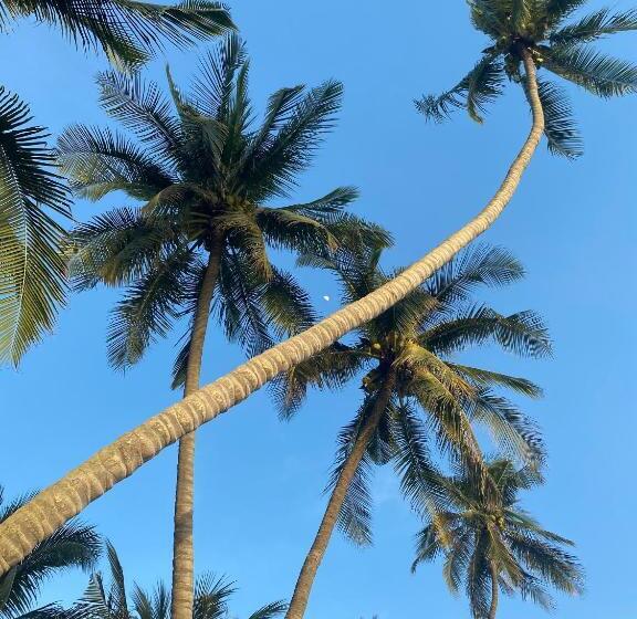 Pensionat Hoa Biển Guest House