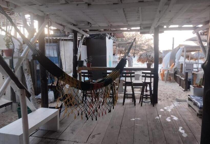 ペンション Hostel Ichtus