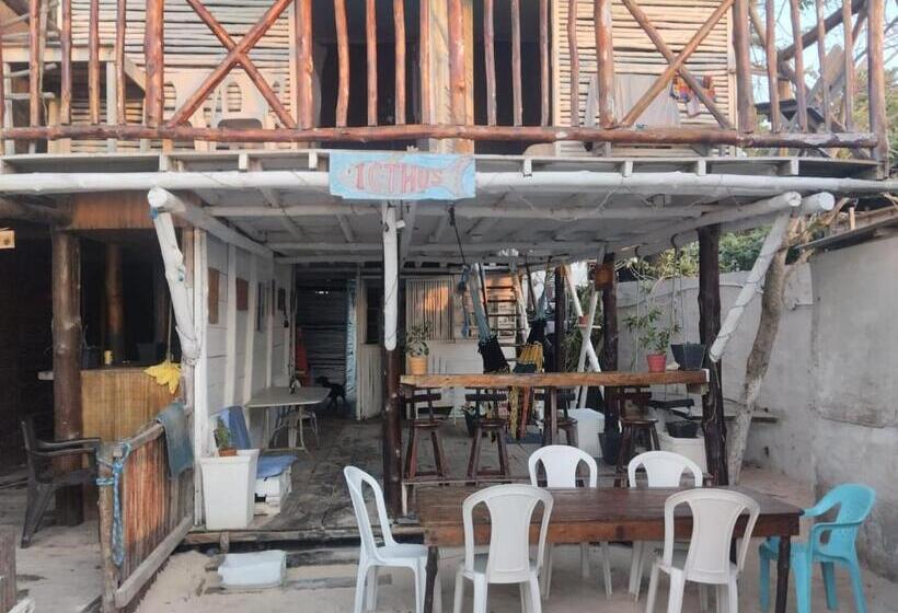 ペンション Hostel Ichtus