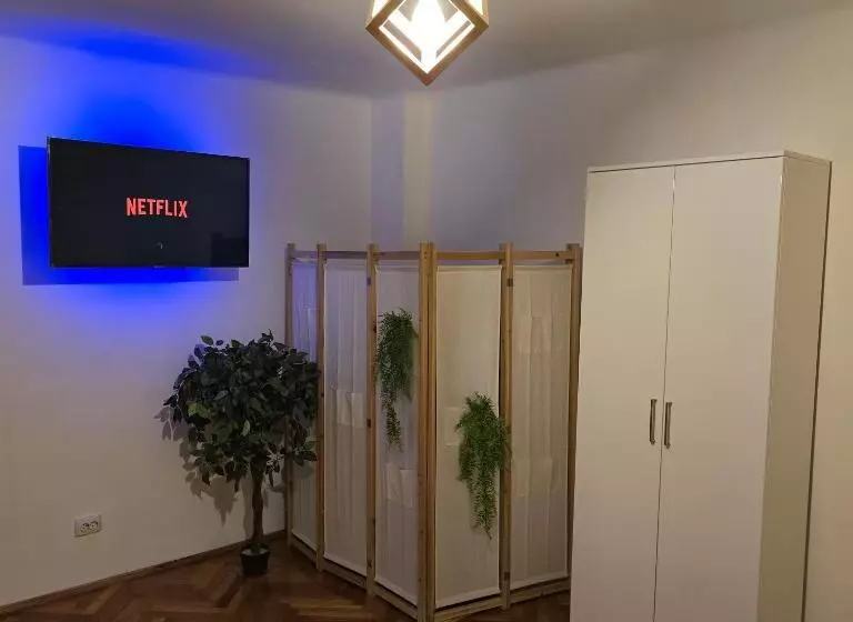ペンション La Dragoș Studio 01   Apartament