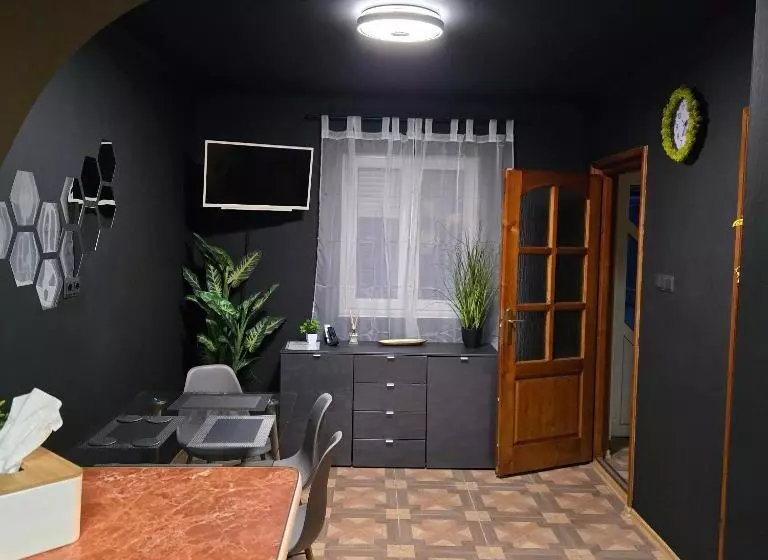 ペンション La Dragoș Studio 01   Apartament