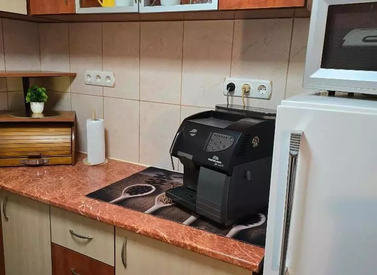 ペンション La Dragoș Studio 01   Apartament