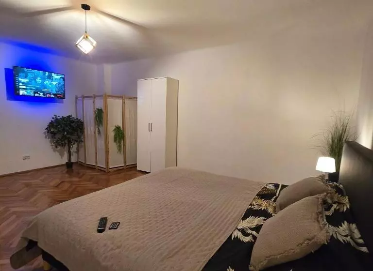 ペンション La Dragoș Studio 01   Apartament