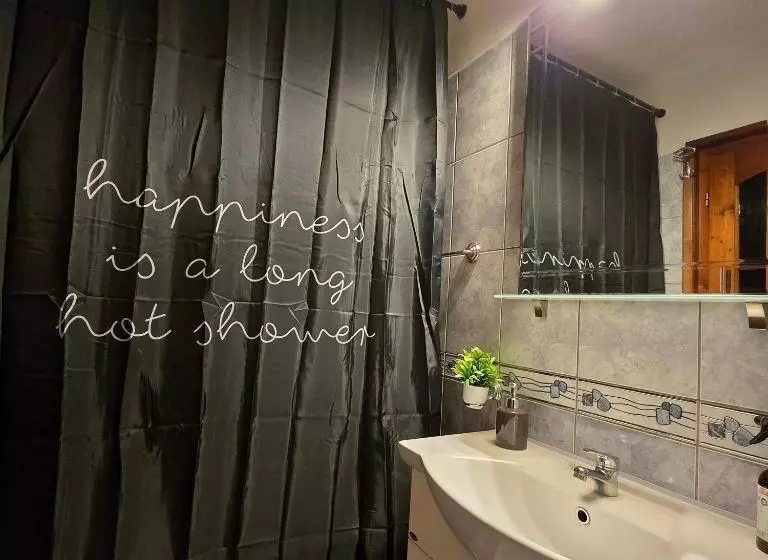 ペンション La Dragoș Studio 01   Apartament
