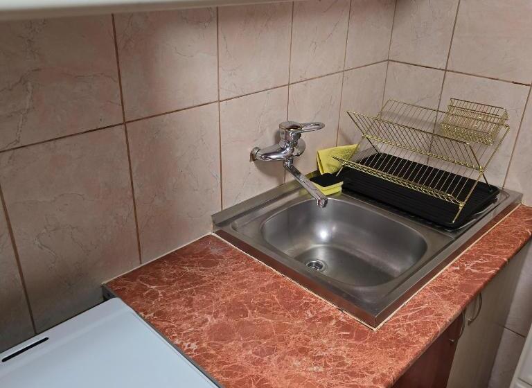 پانسیون La Dragoș Studio 01 Apartament