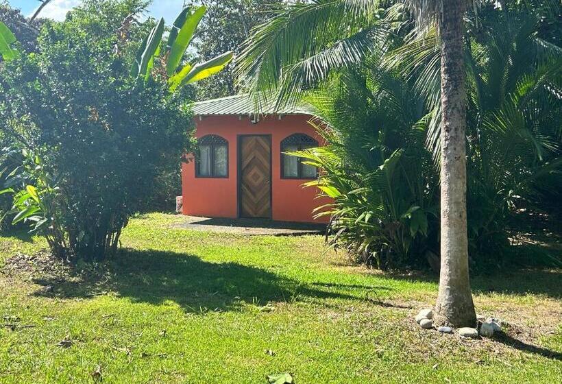 ペンション Mariposa Cabina