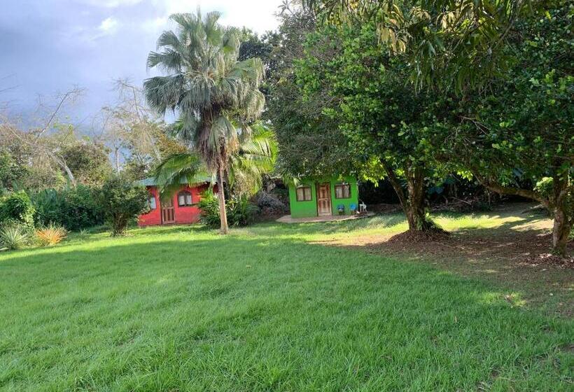 ペンション Mariposa Cabina