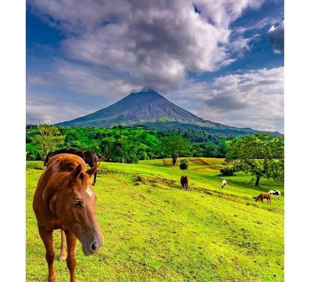 Bed & Breakfast Villa Simone French Ecolodge