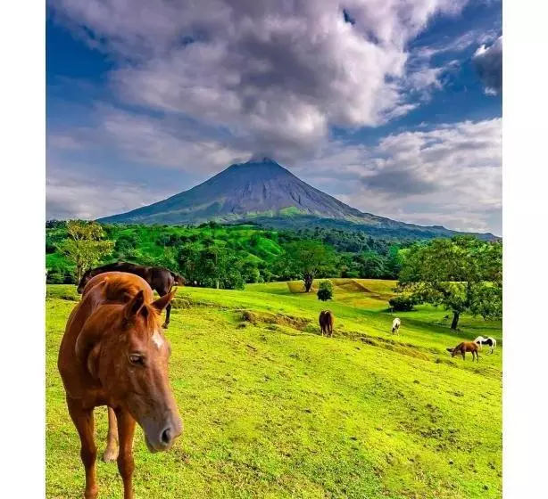 Aamiaismajoitus (B&B) Villa Simone French Ecolodge