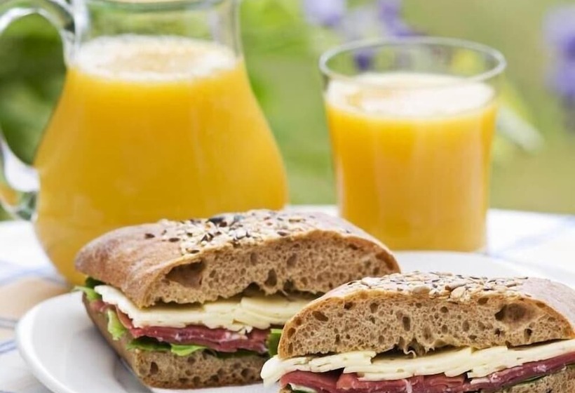 Boutique Hotel Hans   Amsterdam Schiphol Airport