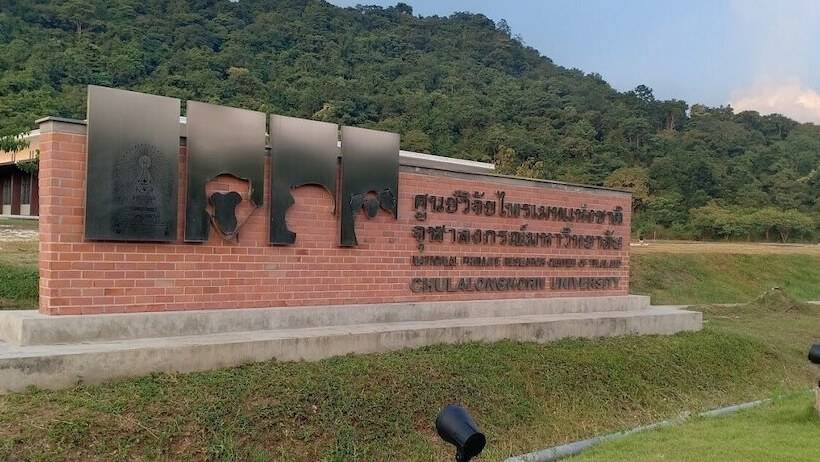 酒店 The Bua Boutique Resort