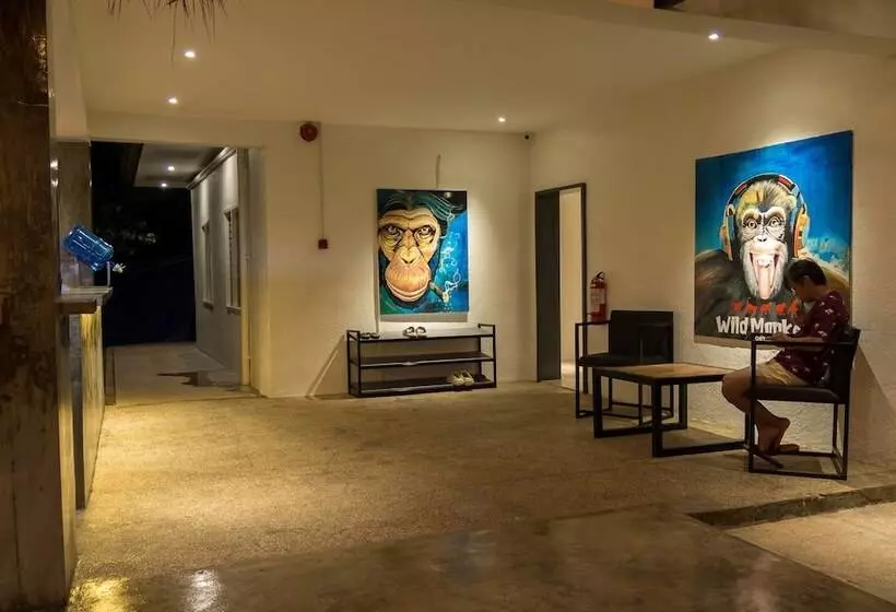 Wild Monkeys Hostel