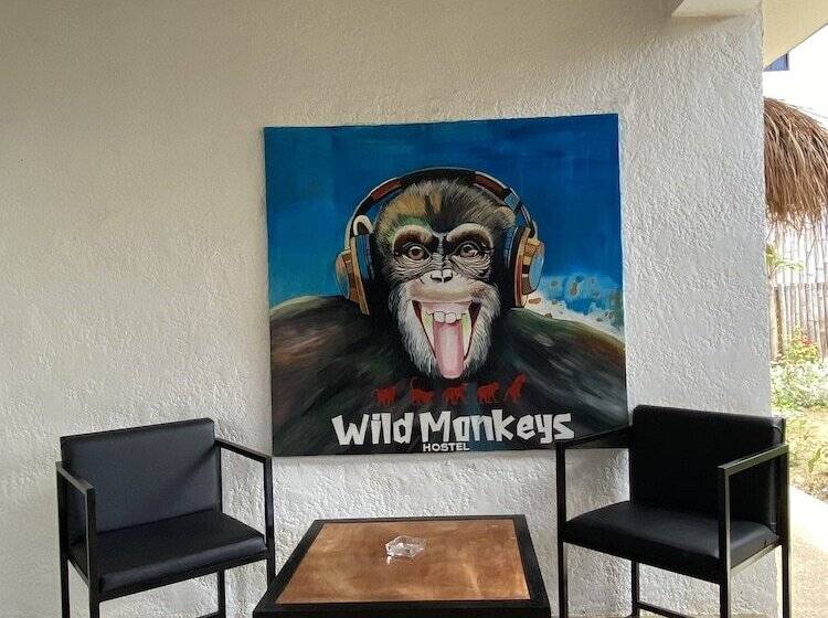 Wild Monkeys Hostel