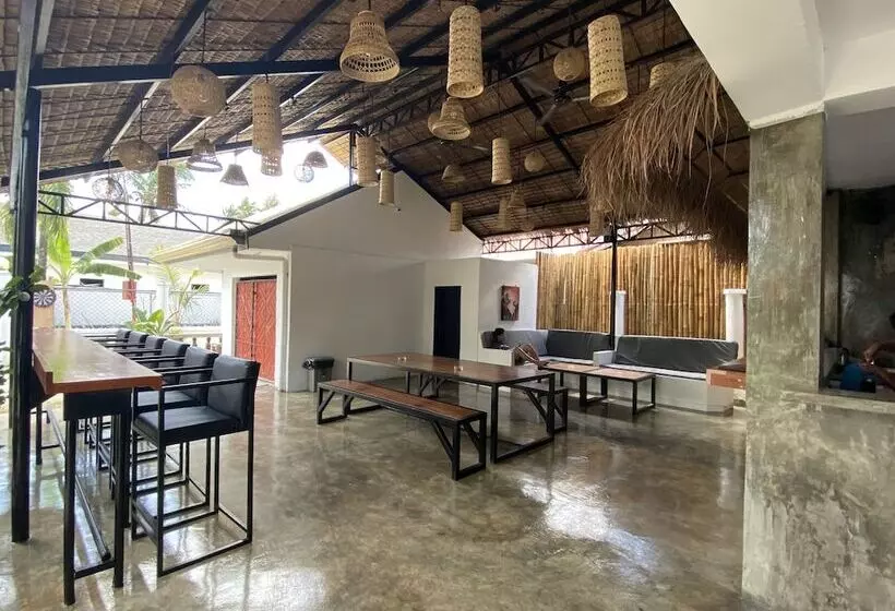 Wild Monkeys Hostel