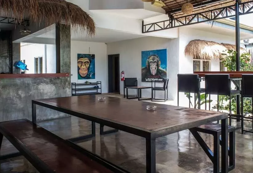 Wild Monkeys Hostel