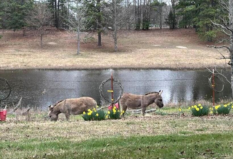 ペンション Luxury Cabin With Fishing Pond Hot Springs
