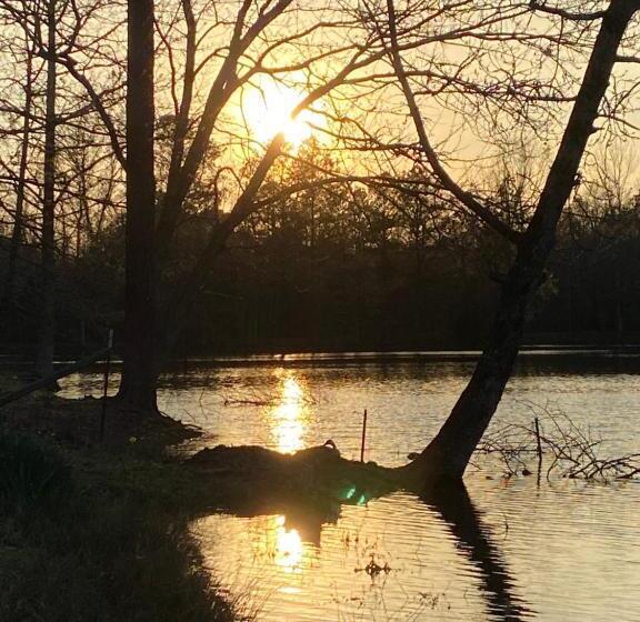 ペンション Luxury Cabin With Fishing Pond Hot Springs