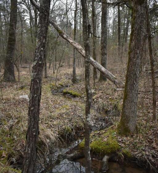 ペンション Luxury Cabin With Fishing Pond Hot Springs