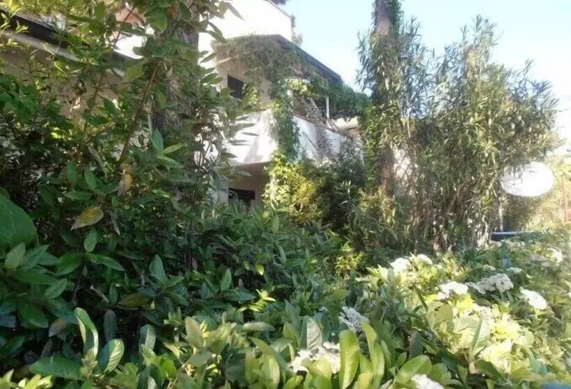 B&b Amici Miei