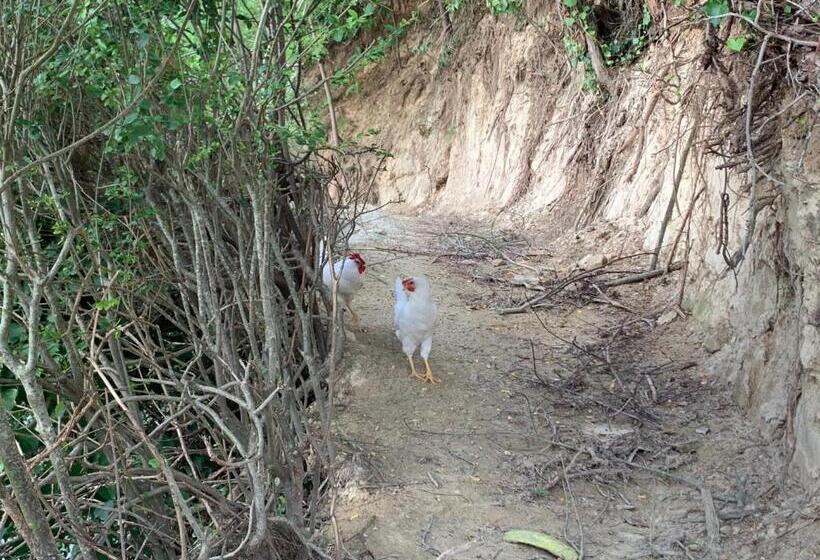 ベッドアンドブレックファースト Casa Tavasso