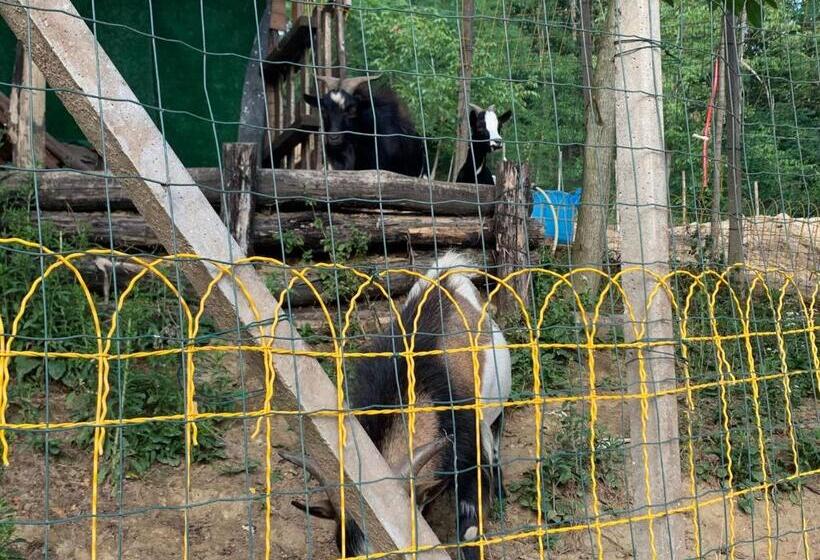 ベッドアンドブレックファースト Casa Tavasso